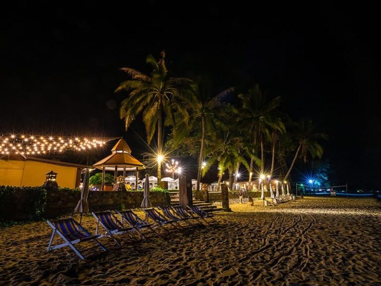 goa-india-beaches-summer-night-39